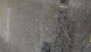 Angola Silver Black Leathered Granite